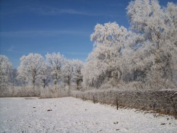 Winter - Winter wonderland